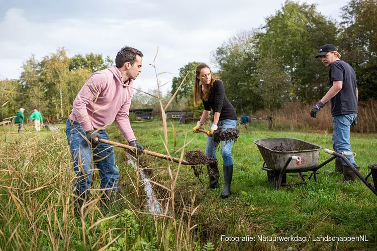 Natuurwerkdag in regio Alkmaar