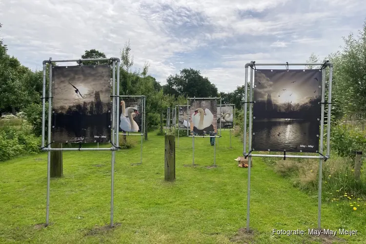 Meerdere tentoonstellingen in Atelier De Trog