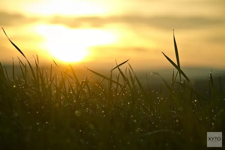 Komende week mix van warmte en buien