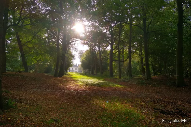 Wandeling Heilooër bos