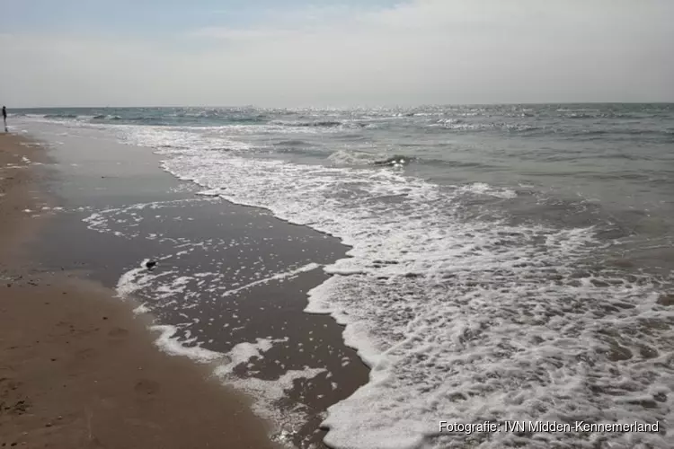 Strandwandelexcursie "Is het strand meer dan een bak zand?"